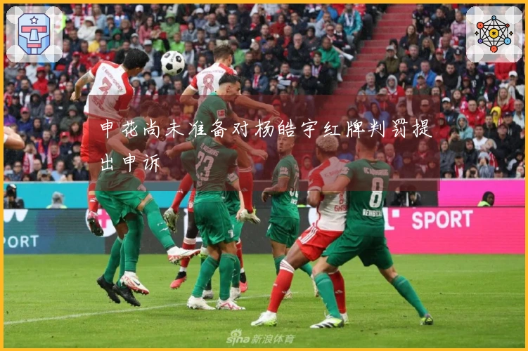 申花尚未准备对杨皓宇红牌判罚提出申诉