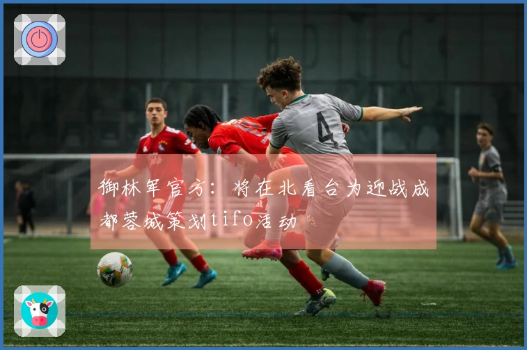 御林军官方：将在北看台为迎战成都蓉城策划tifo活动