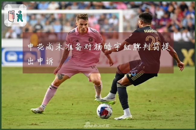 申花尚未准备对杨皓宇红牌判罚提出申诉