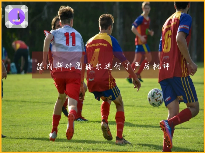 赫内斯对图赫尔进行了严厉批评